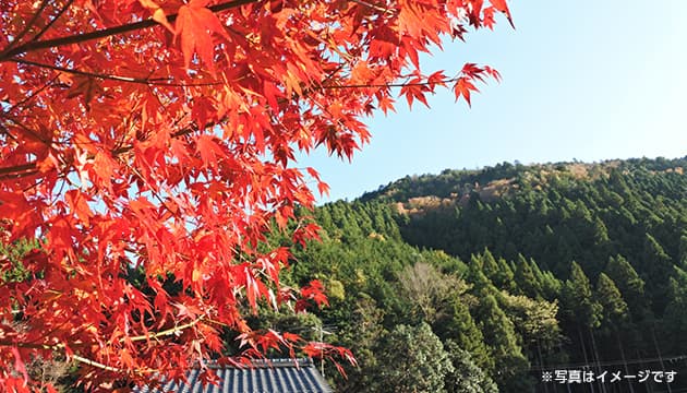 2000本のもみじが広がる、京都を代表する紅葉……南禅寺（京都府）